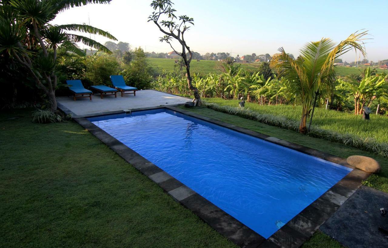 De Vir House Apartment Canggu  Bagian luar foto