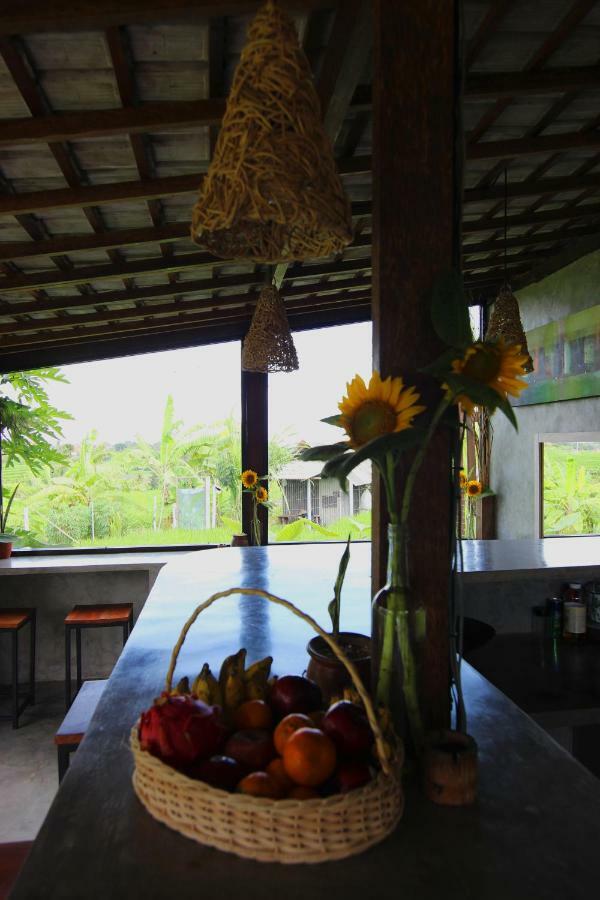 De Vir House Apartment Canggu  Bagian luar foto